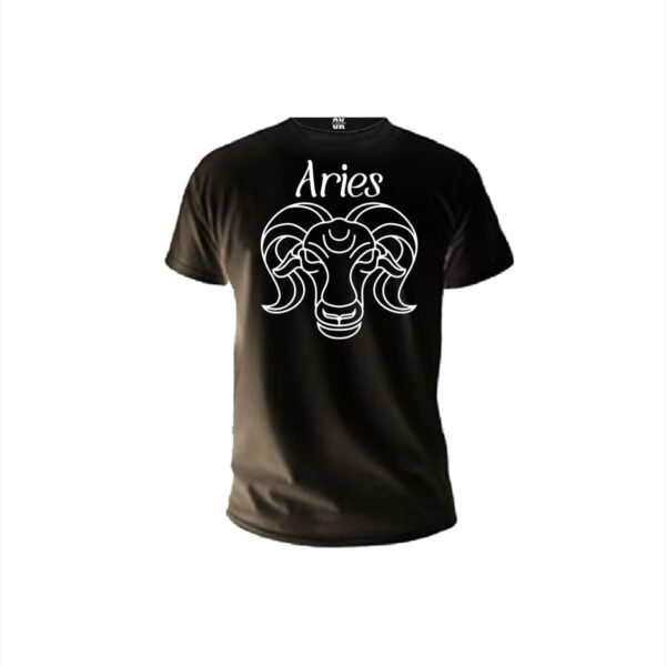 Aries black men t shirt front min